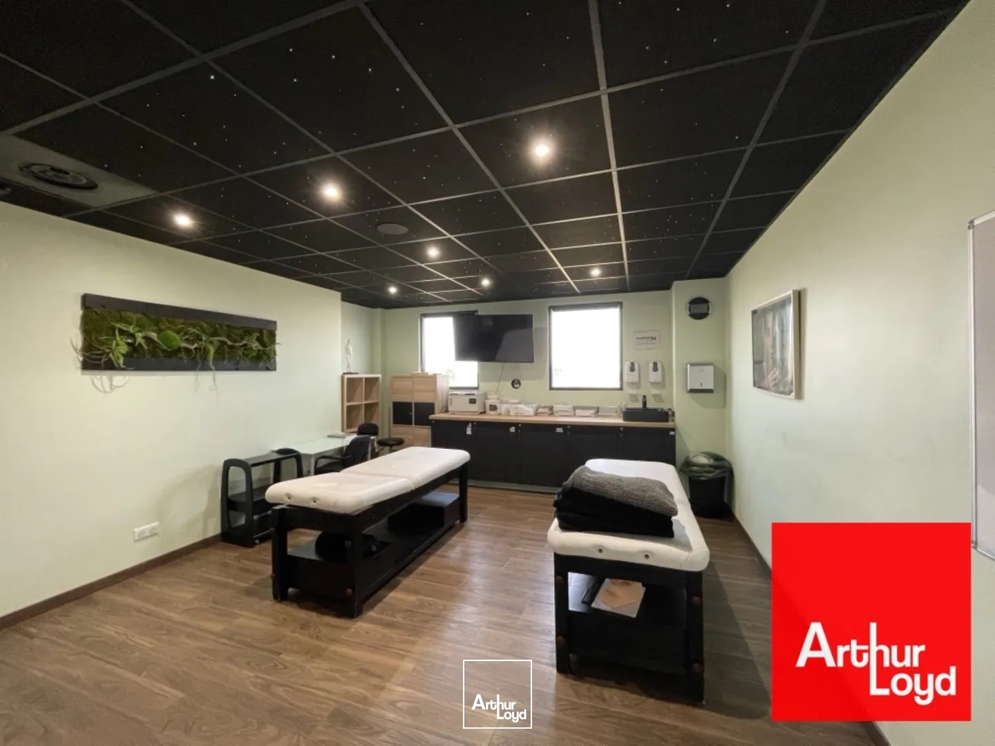 Bureaux à vendre - 400m2 - Mauguio (34130)