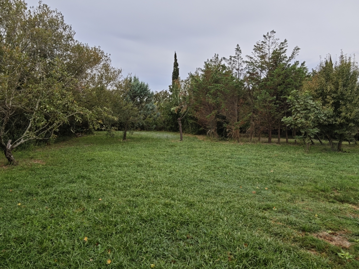 Terrain 1480 m²