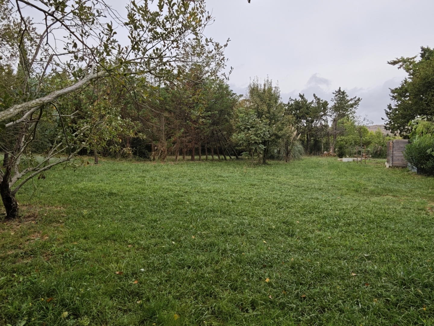 Terrain à vendre - 1480m2 - Salses-Le-Château (66600)