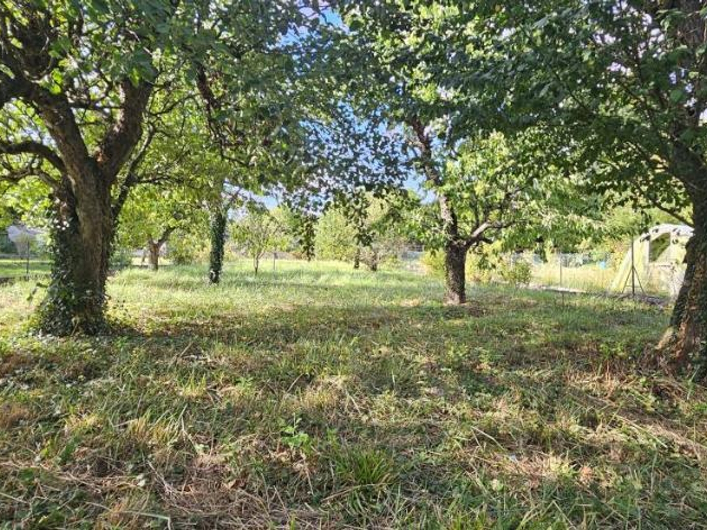 Terrain 834 m²