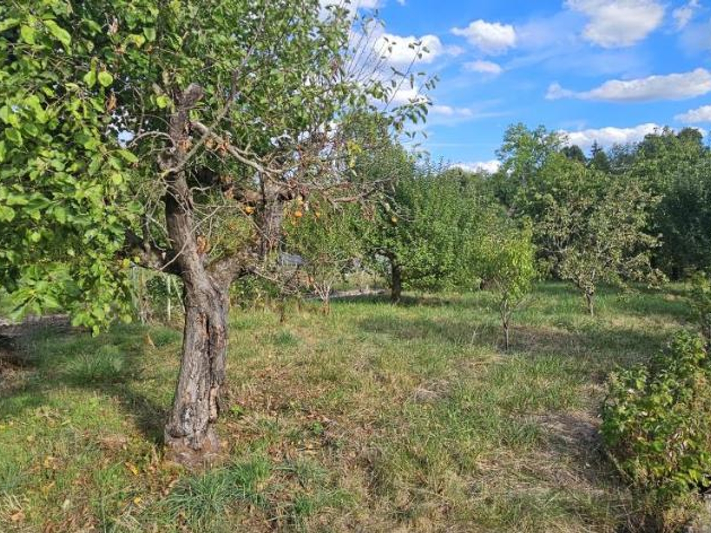 Terrain à vendre - 834m2 - Rambervillers (88700)