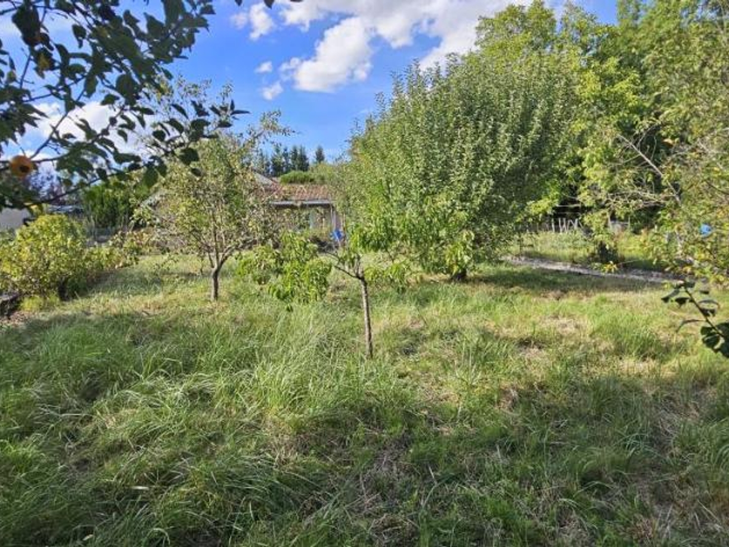 Terrain à vendre - 834m2 - Rambervillers (88700)