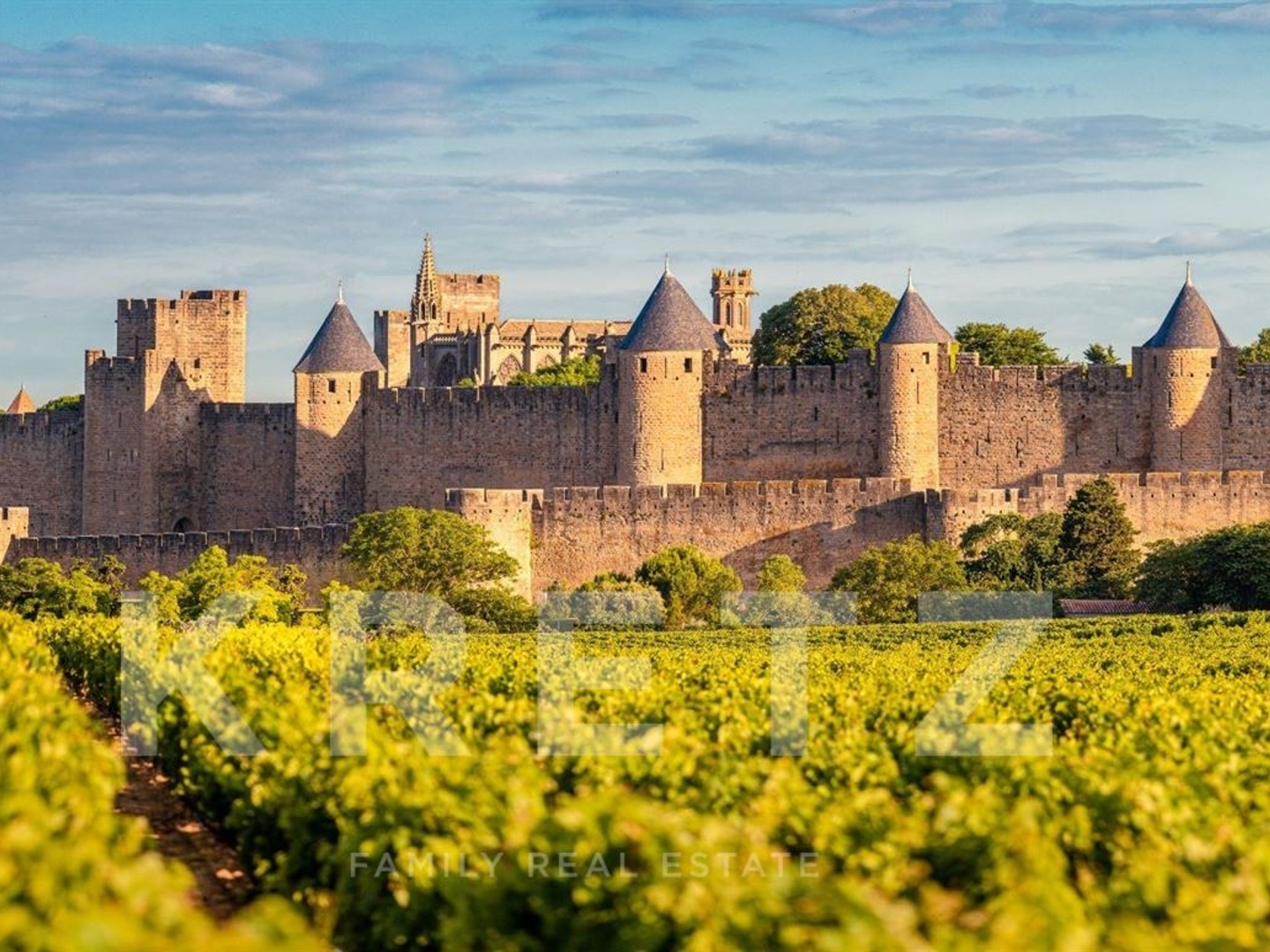 Immeuble de rapport d'exception en coeur historique de Carcassonne - 500+ m² déployés pour un rendeme