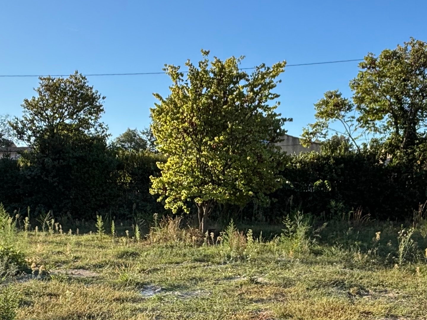Maison à vendre - 4 pièces - 90m2 - Sorgues (84700)