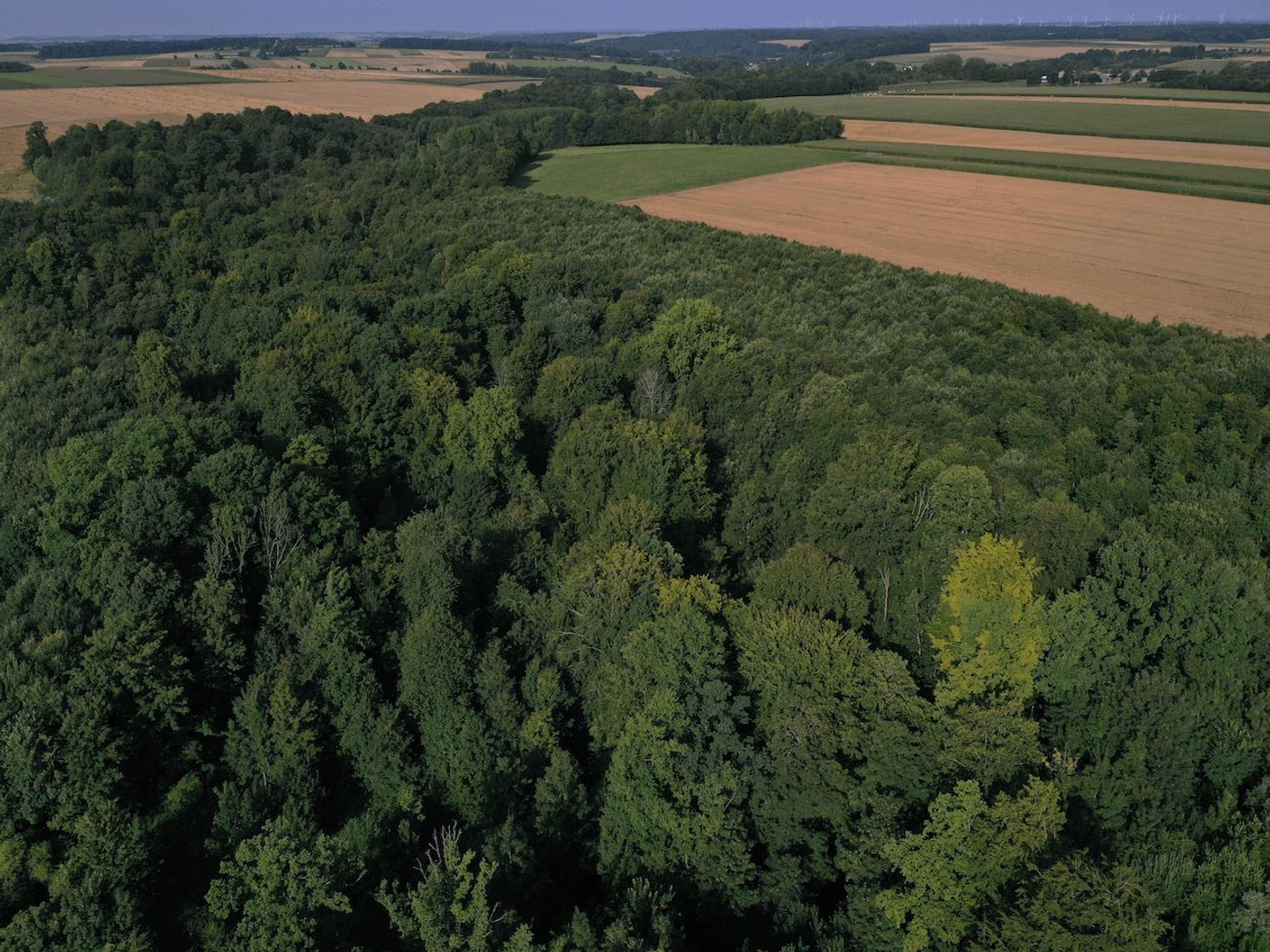 Domaine Forestier Et Cynégétique D'Exception