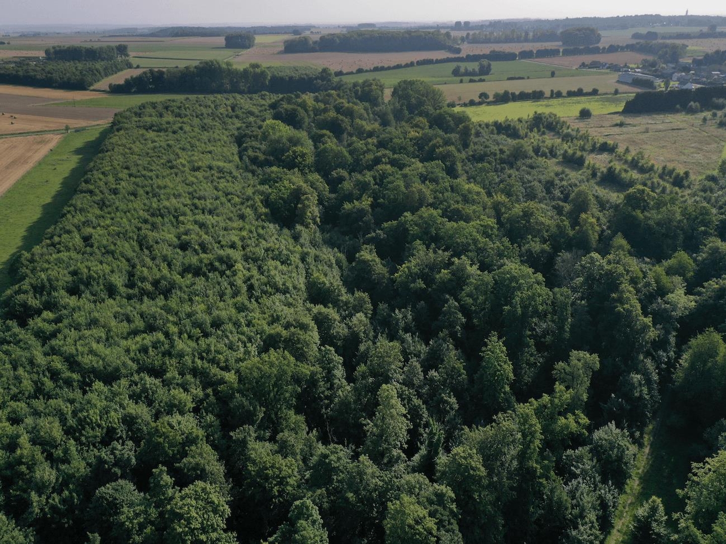 Terrain à vendre - Arras (62000)