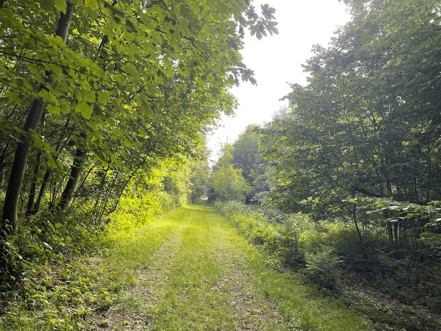Terrain à vendre - Arras (62000)