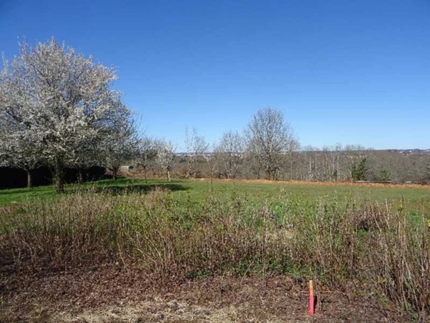 Terrain à vendre - 2370m2 - Panazol (87350)