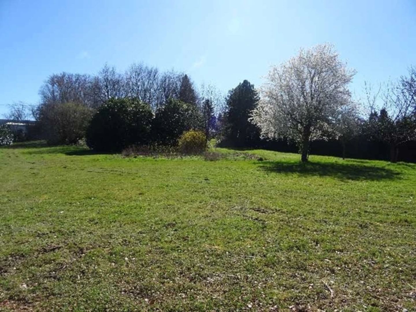 Terrain à vendre - 2370m2 - Panazol (87350)