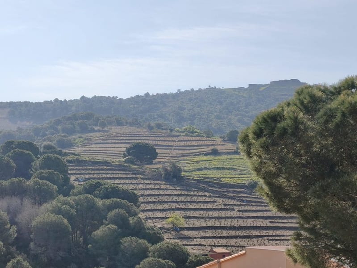 Maison à vendre - 5 pièces - 105m2 - Collioure (66190)