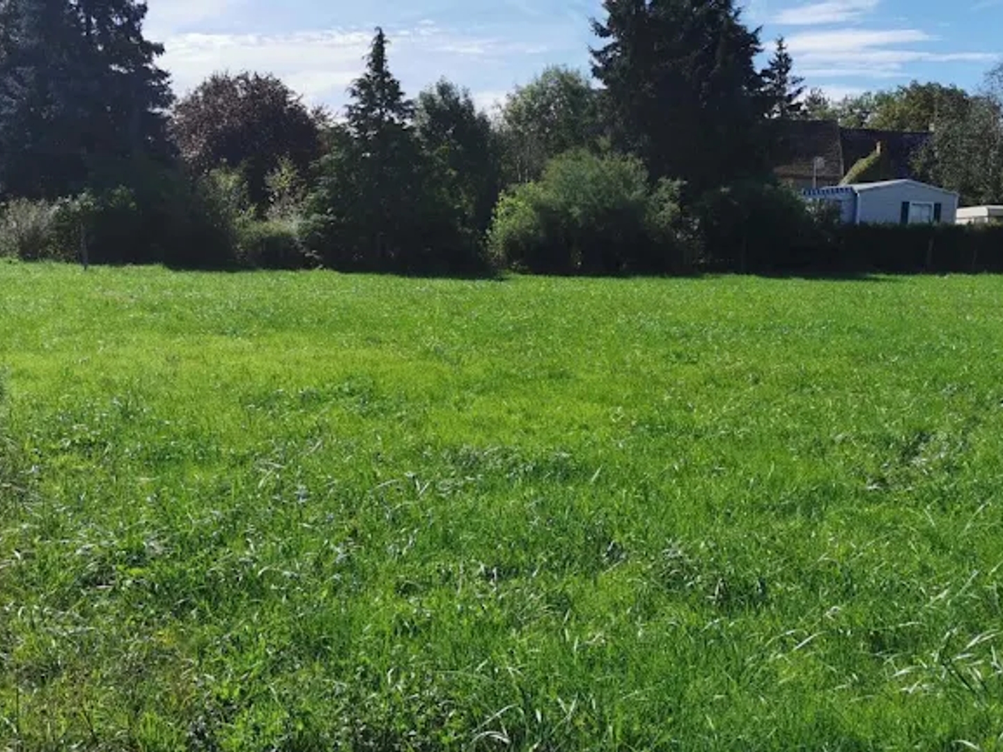 Maison à vendre - 5 pièces - 91m2 - Meillard (03500)