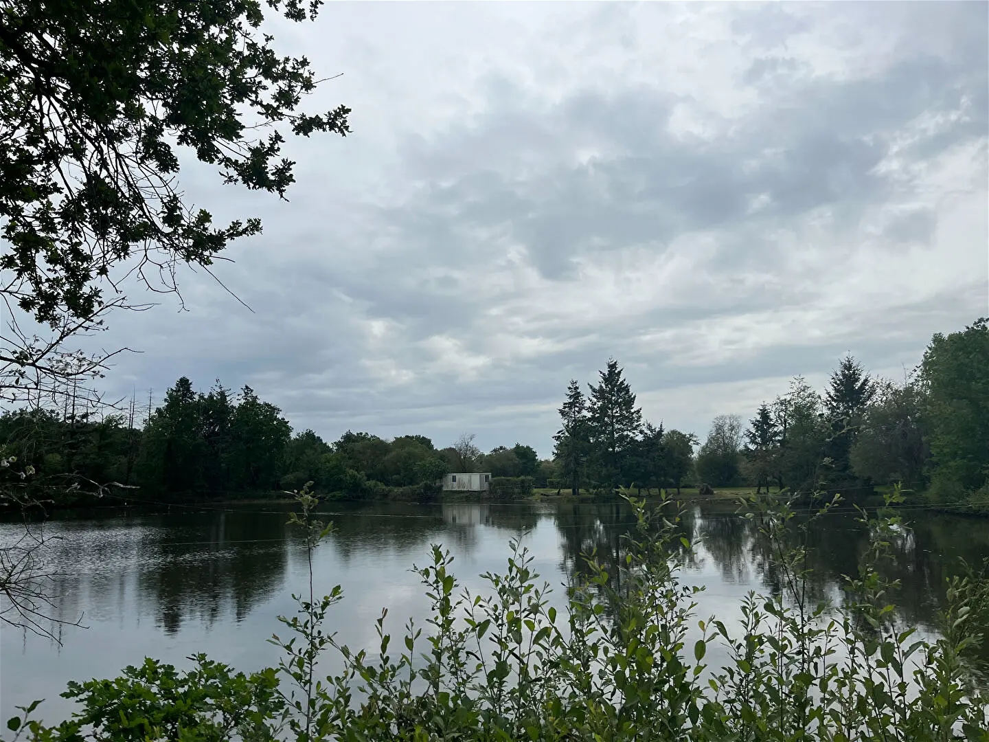 Terrain à vendre - Saulgé (86500)