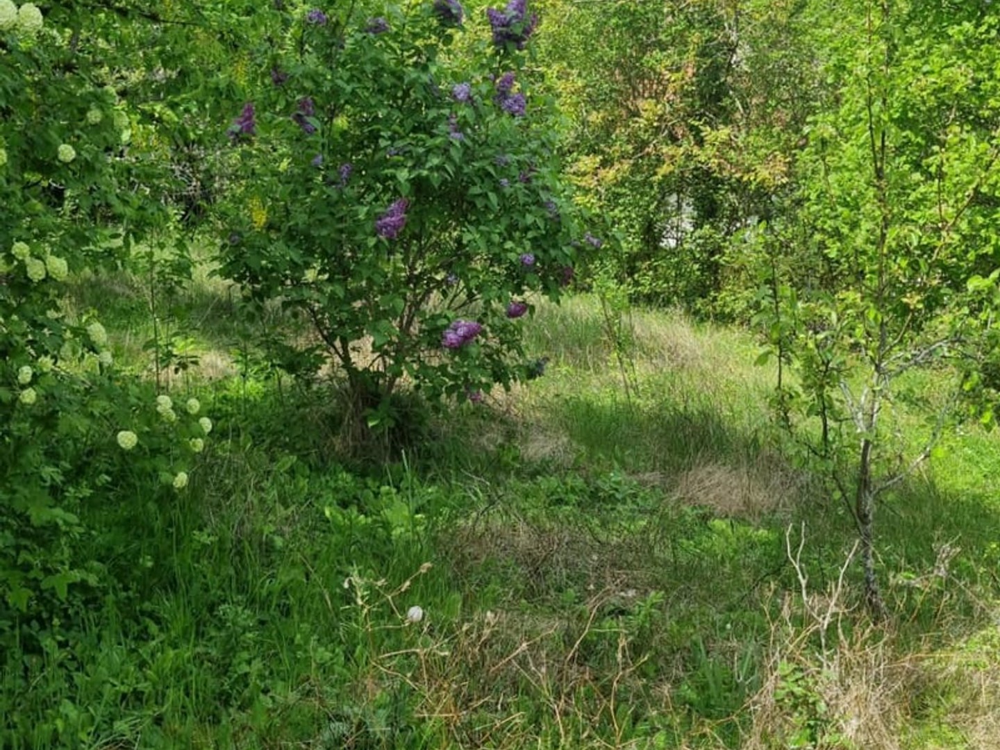 Magasin à vendre - 558m2 - Chenôve (21300)