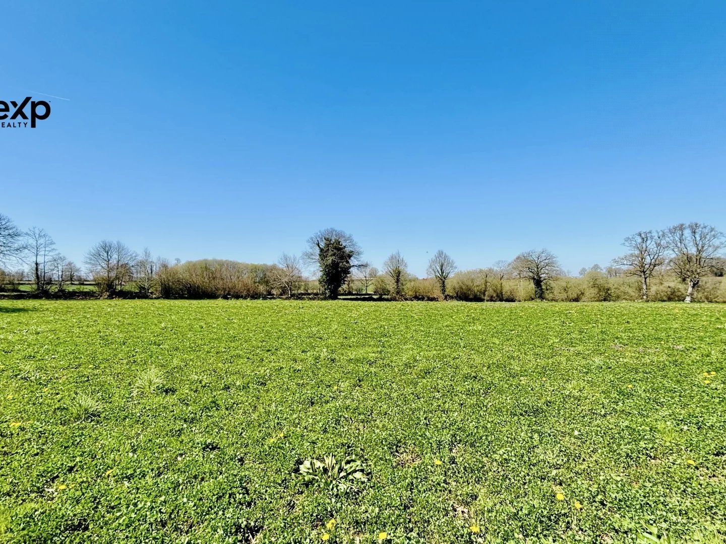 Terres Agricoles de 104130 m2 à MONTAUDIN (53220).