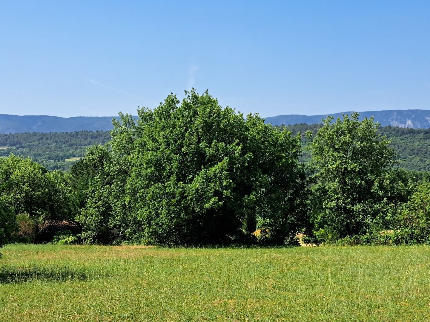 Terrain à vendre - 1400m2 - Goult (84220)