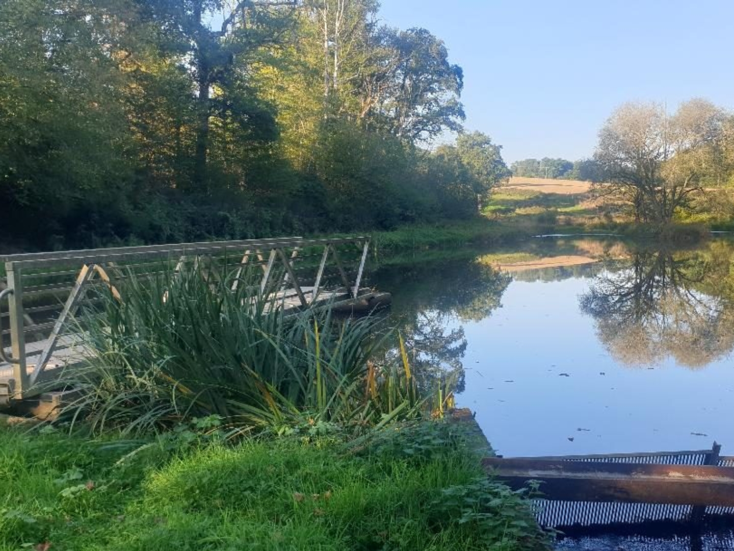 Terrain en individuel 20000 m²