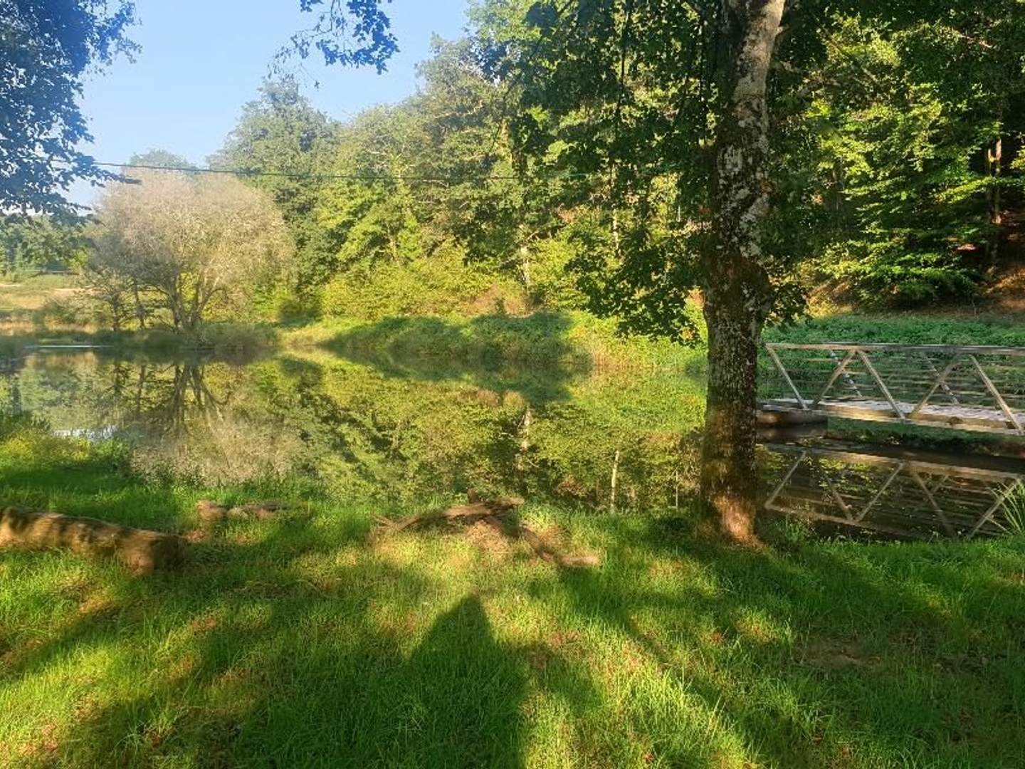Terrain à vendre - 20000m2 - Saint-Léonard-De-... (87400)