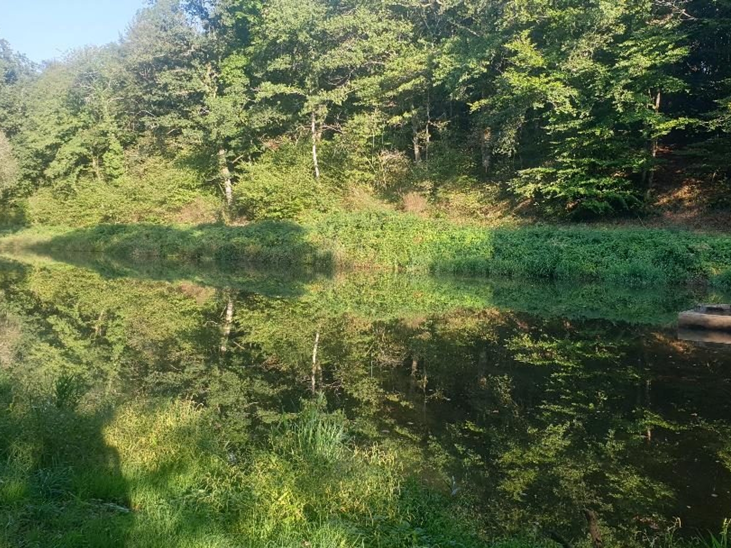Terrain à vendre - 20000m2 - Saint-Léonard-De-... (87400)