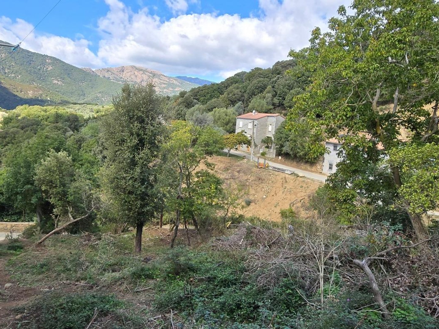 A SAISIR TERRAIN CONSTRUCTIBLE - OLMICCIA