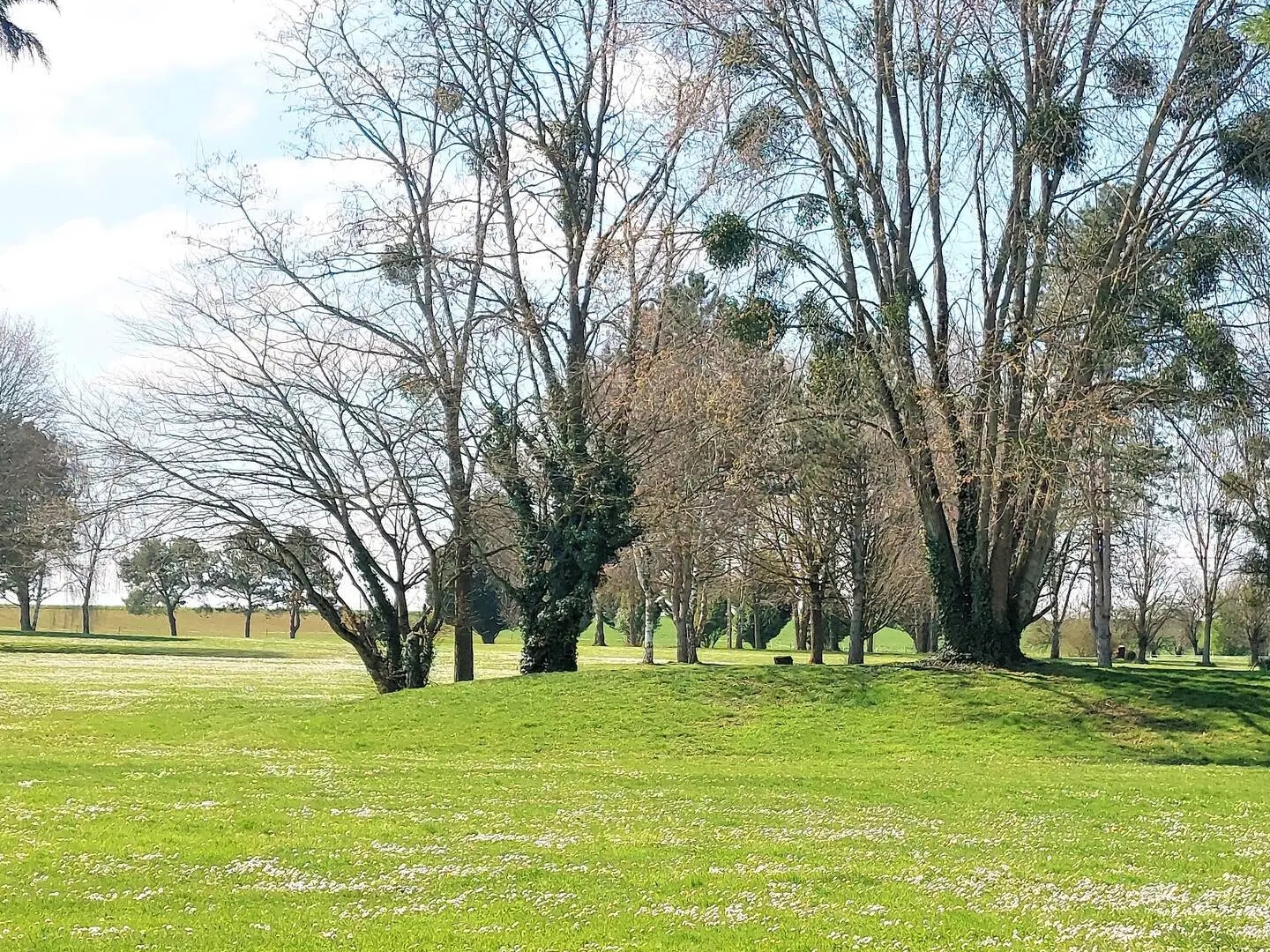 Terrain à vendre - Levernois (21200)
