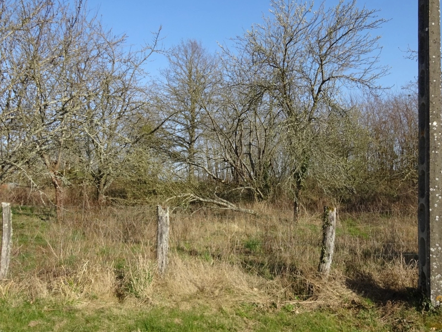 Terrain 1341 m²