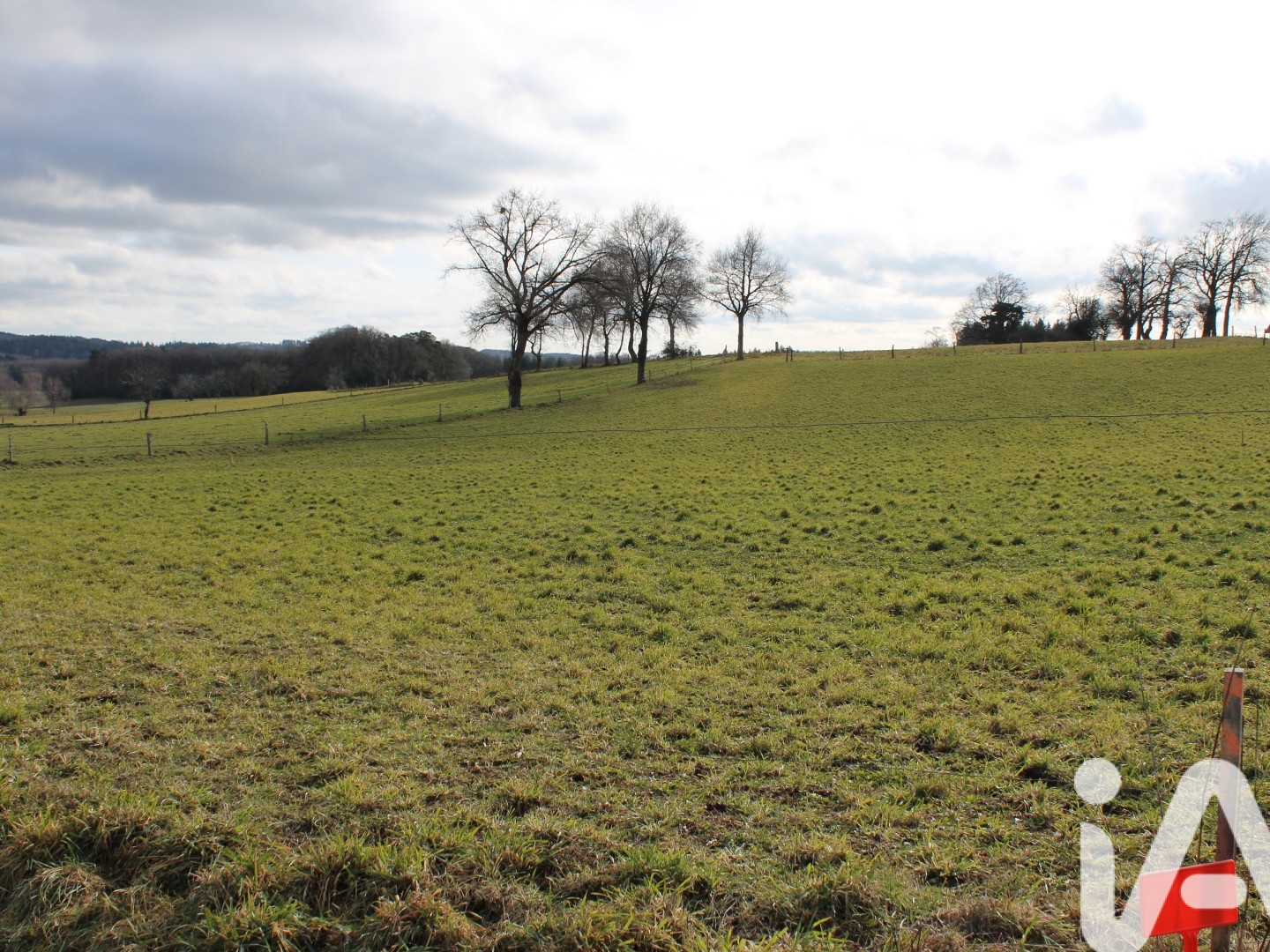 Terrain à vendre - 1767m2 - Marcolès (15220)