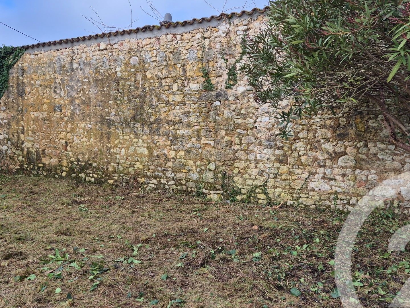 Maison à vendre - 6 pièces - 310m2 - Lesparre-Médoc (33340)