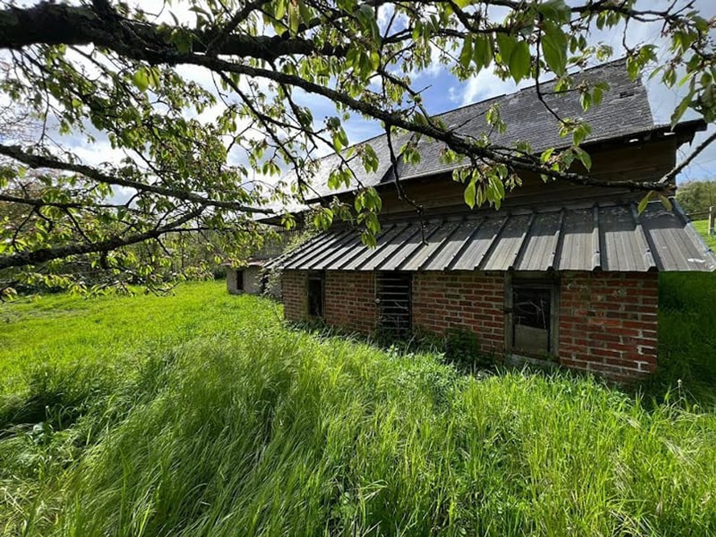 Terrain à vendre - 1887m2 - Cresseveuille (14430)