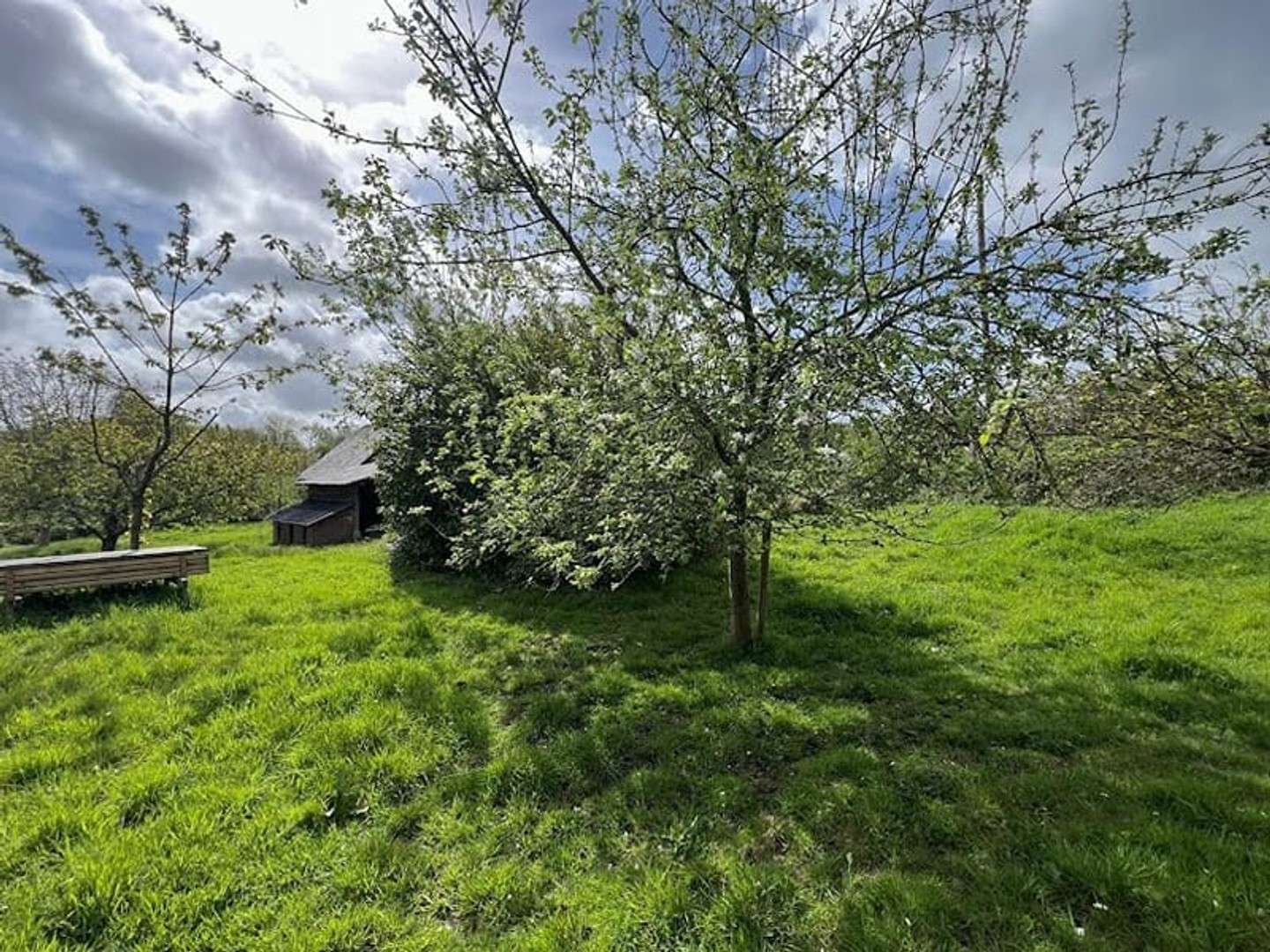 Terrain à vendre - 1887m2 - Cresseveuille (14430)