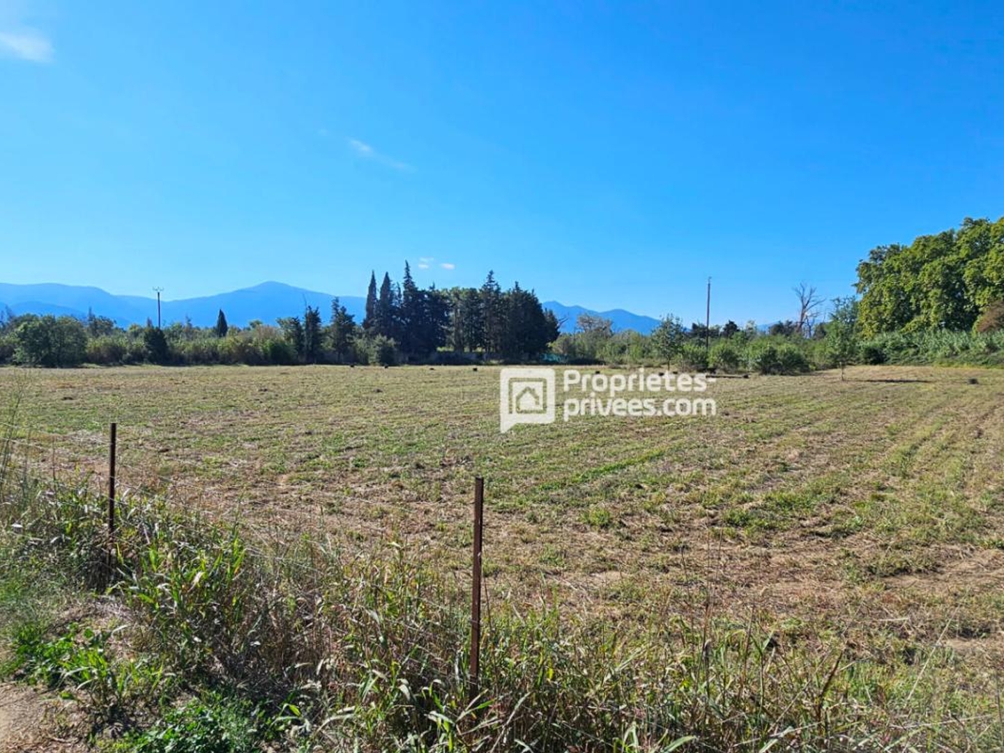 Terrain à vendre - 29154m2 - Elne (66200)