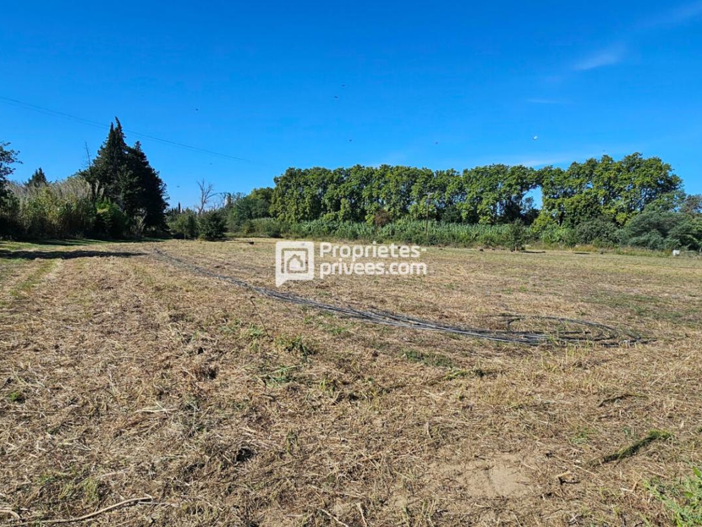 Terrain à vendre - 29154m2 - Elne (66200)