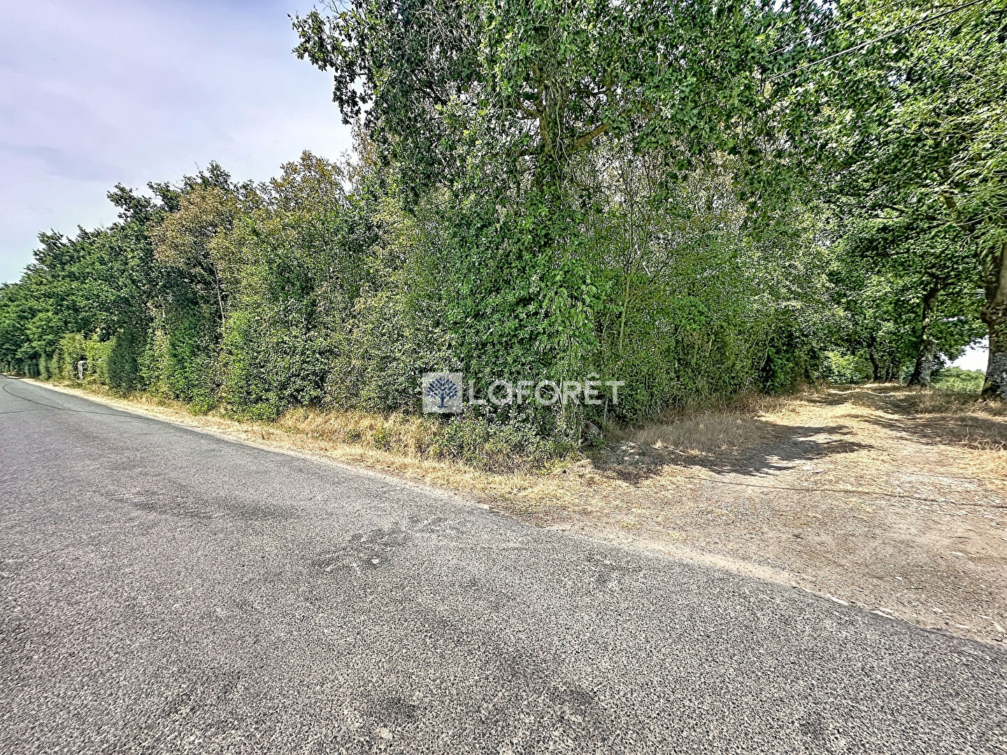 Terrain à vendre - 37905m2 - Saint-Aubin-Le-Cloud (79450)