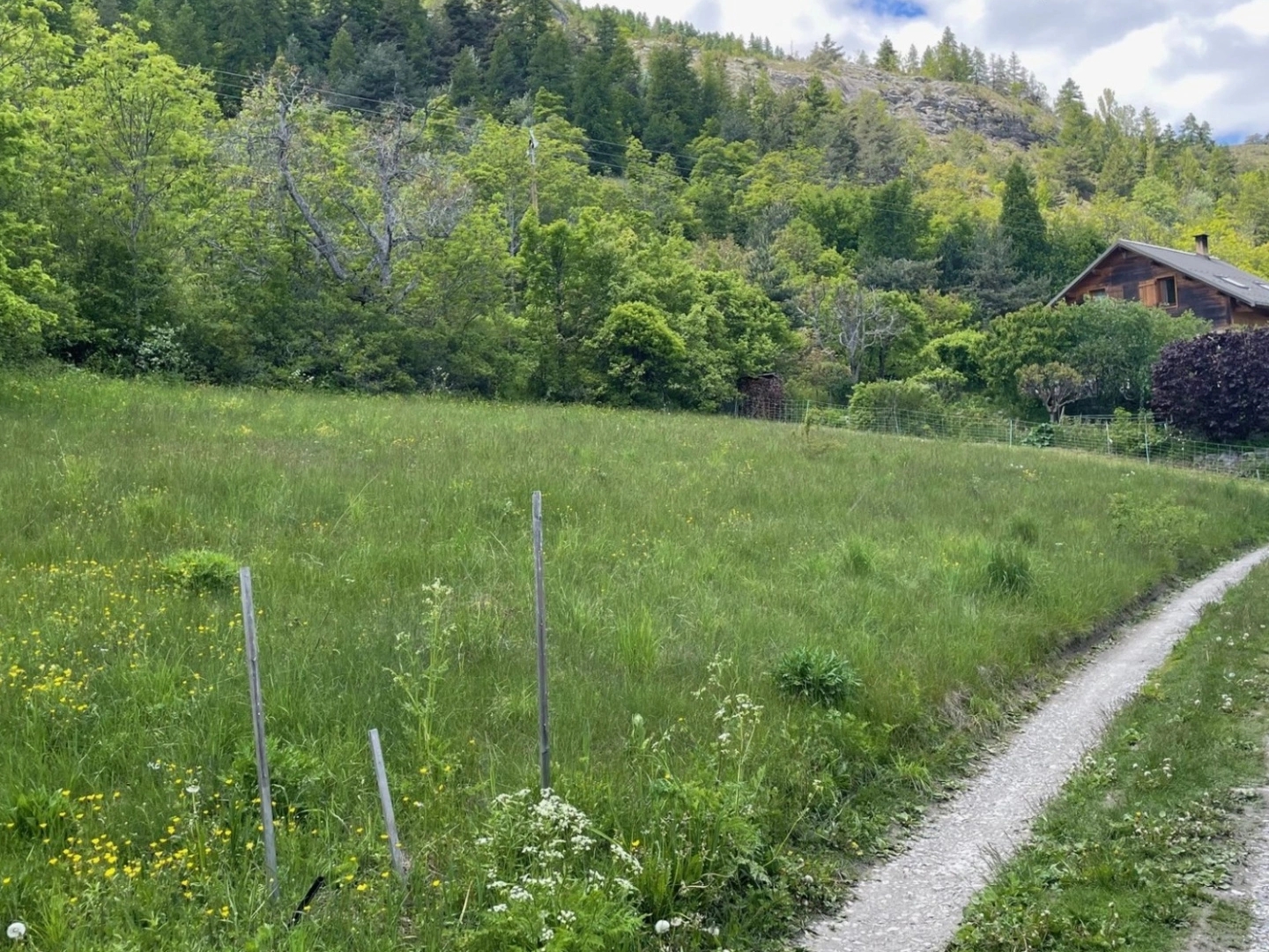 Terrain 683 m²