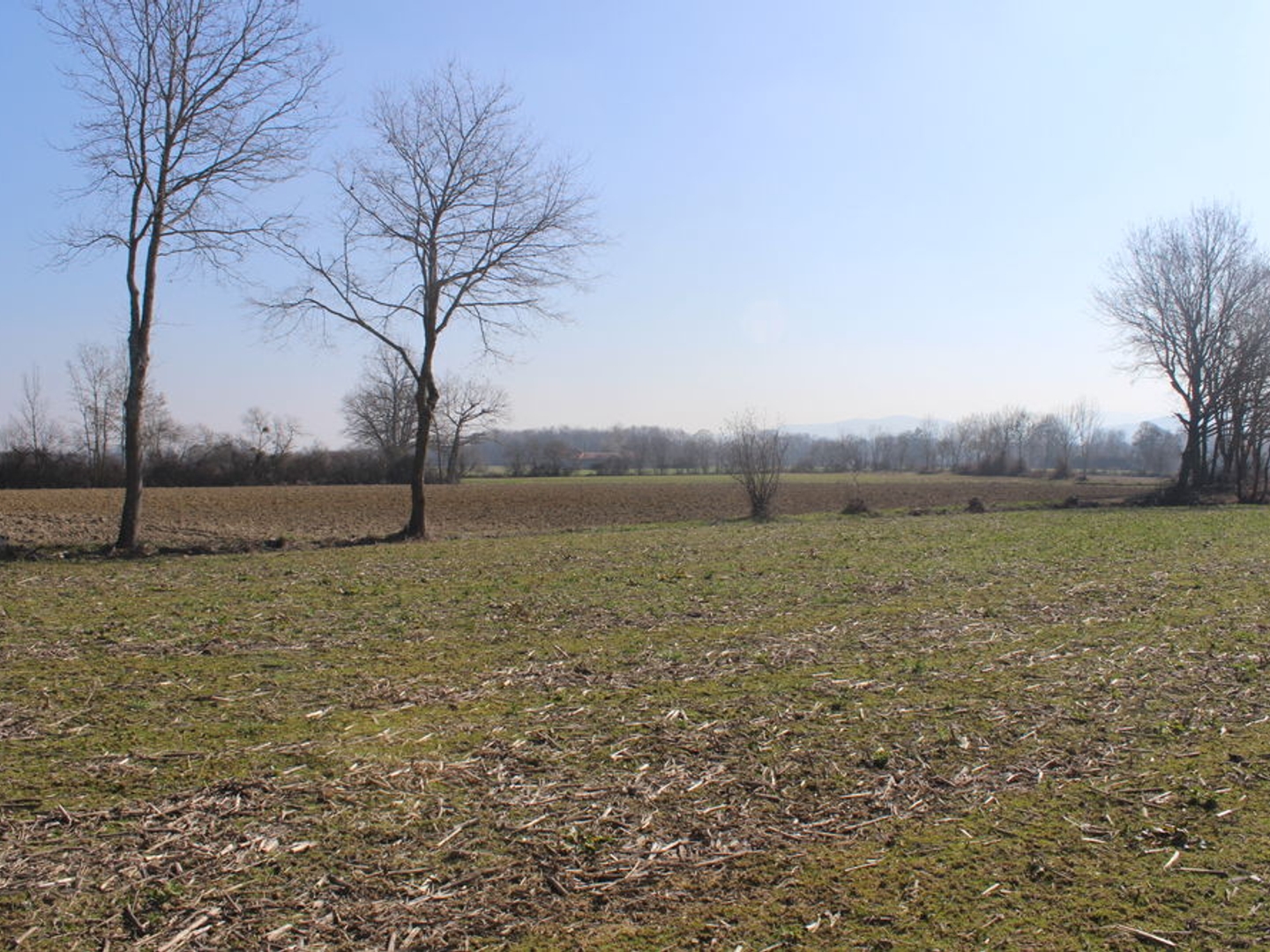 Terrain à vendre - 6760m2 - Montréjeau (31210)