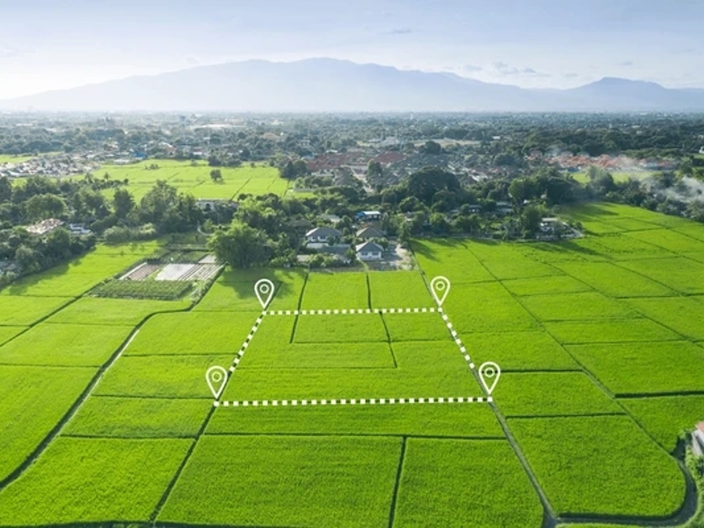 Terrain 1429 m²