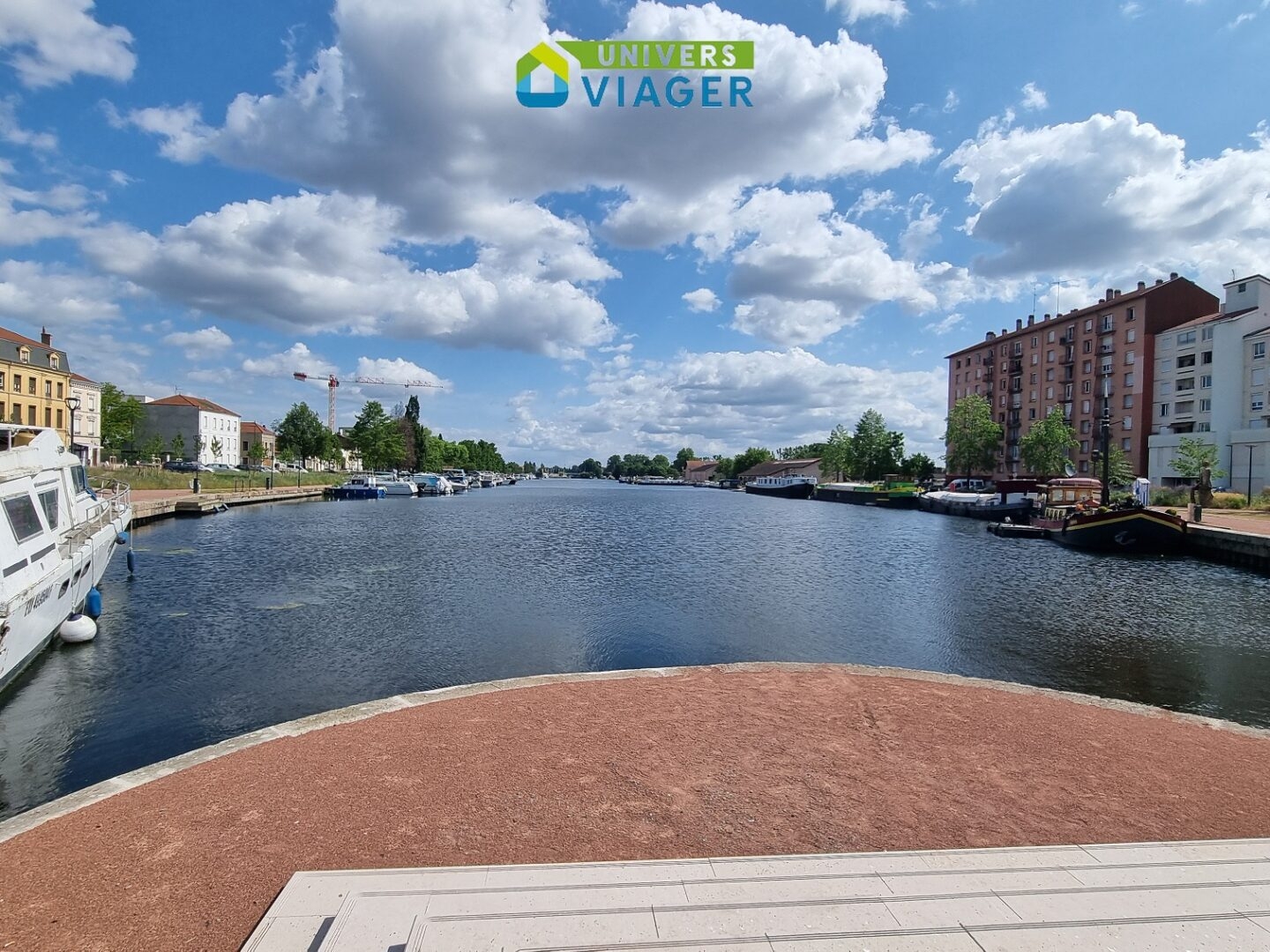 Appartement Viager Occupé Roanne