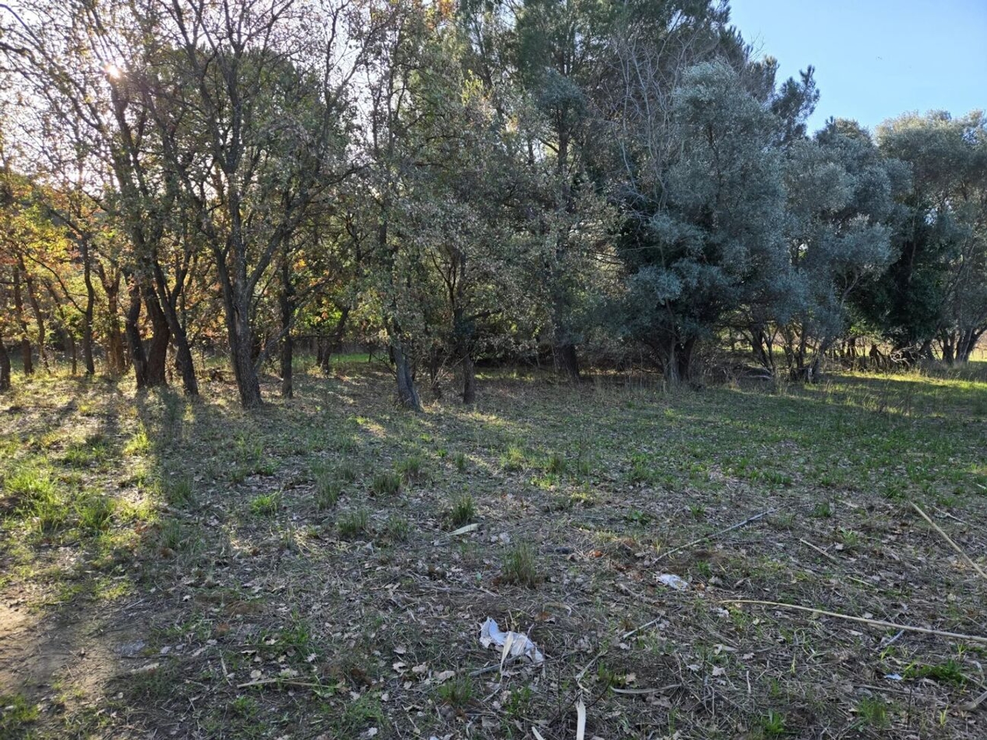 Terrain 1056 m²
