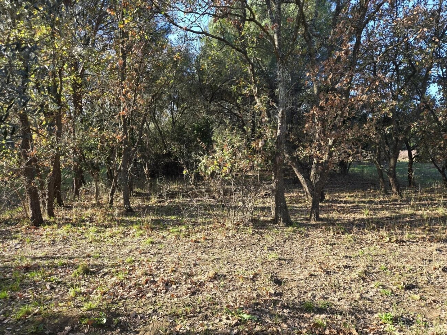 Terrain à vendre - 1056m2 - Bormes-Les-Mimosas (83230)