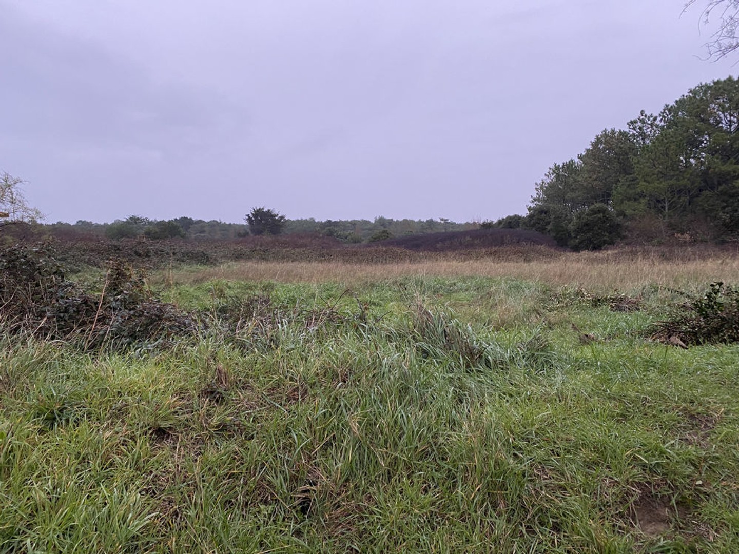 Terrain de loisir proche mer Les Sables d'Olonne 7000m2
