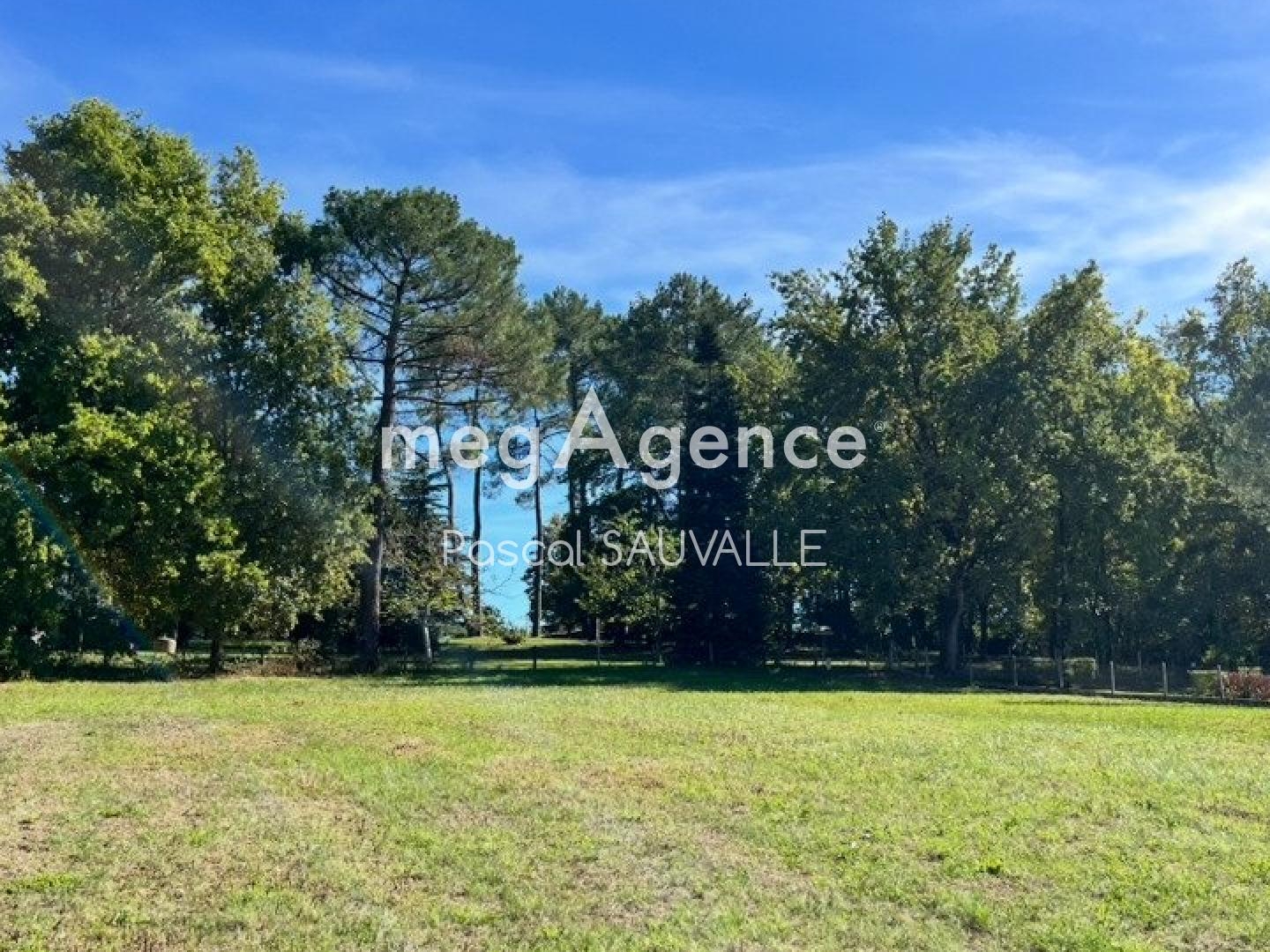 Terrain à vendre - 4800m2 - Mussidan (24400)