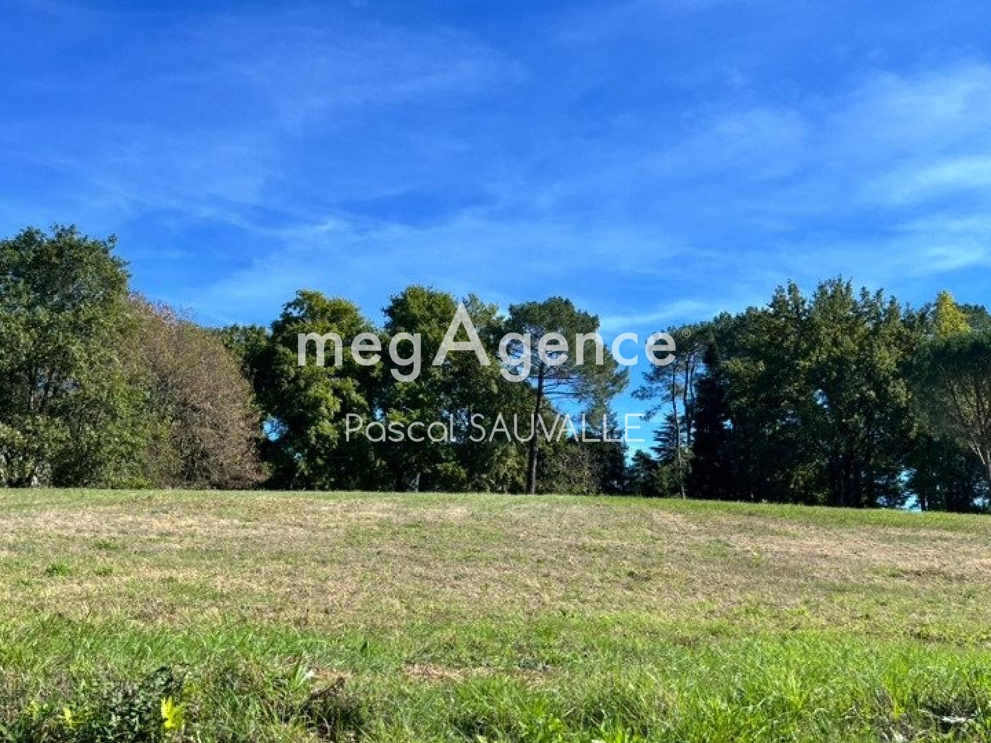 Terrain à vendre - 4800m2 - Mussidan (24400)