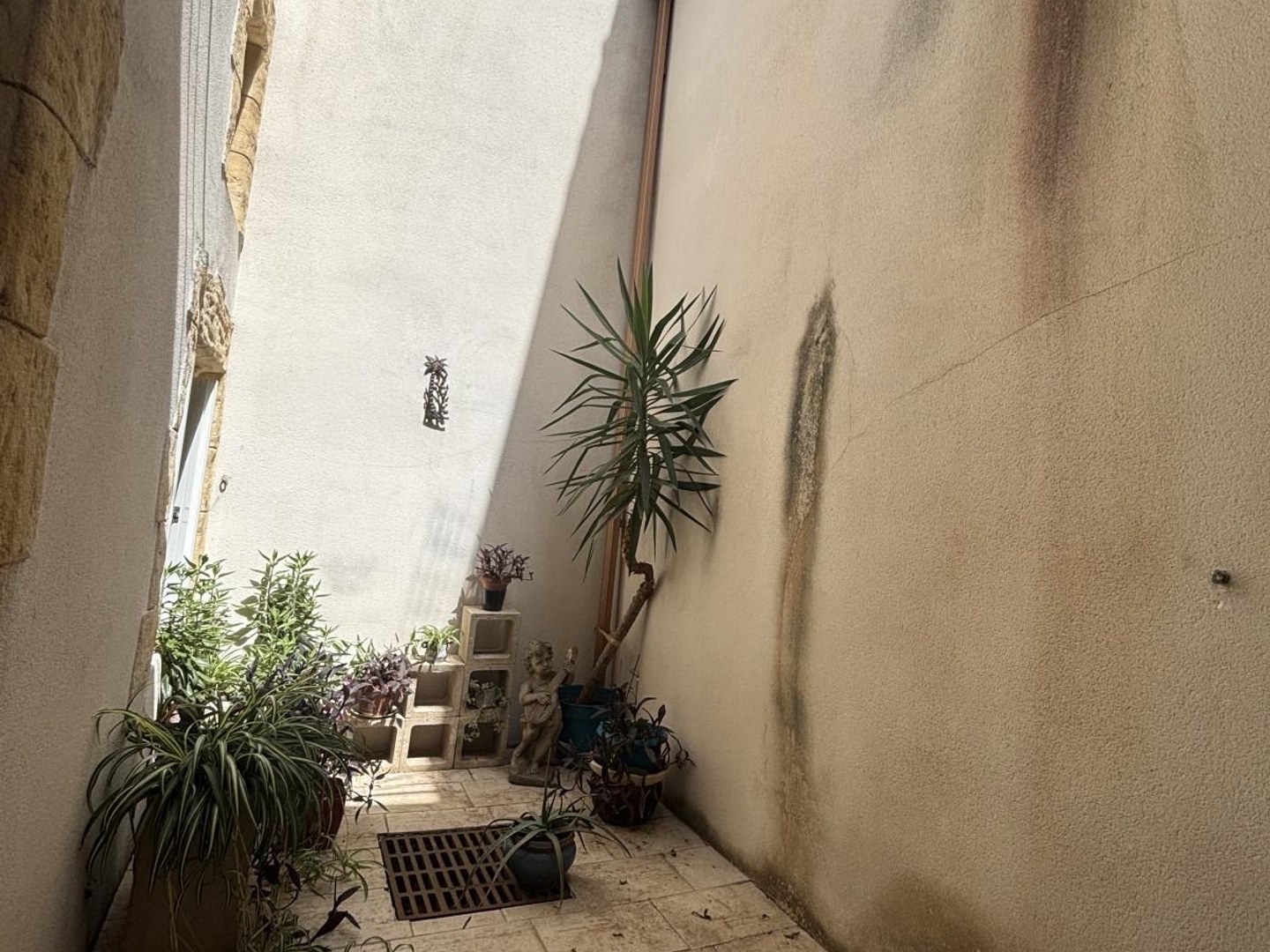 Montpellier - Quartier très recherché - Maison de ville de 195 m² avec garage, composée de 3 appartements indépendants + terras