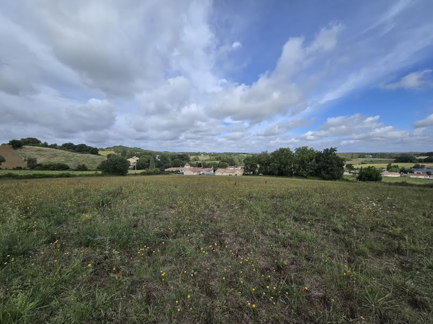 Terrain 15000 m²