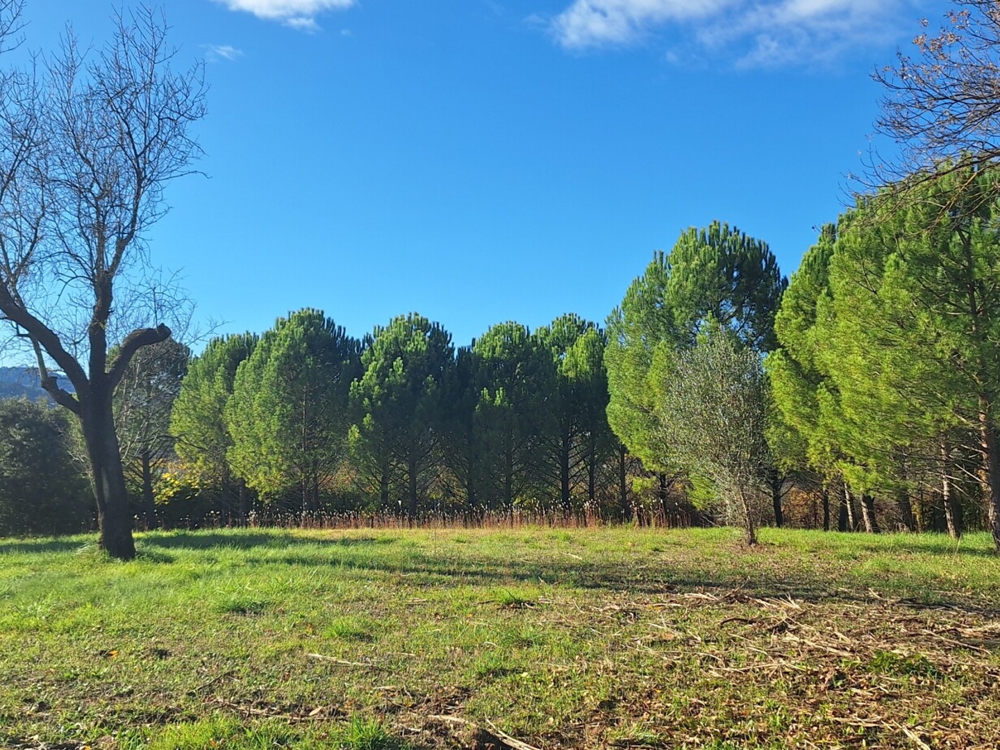 Terrain en lotissement 1101 m²