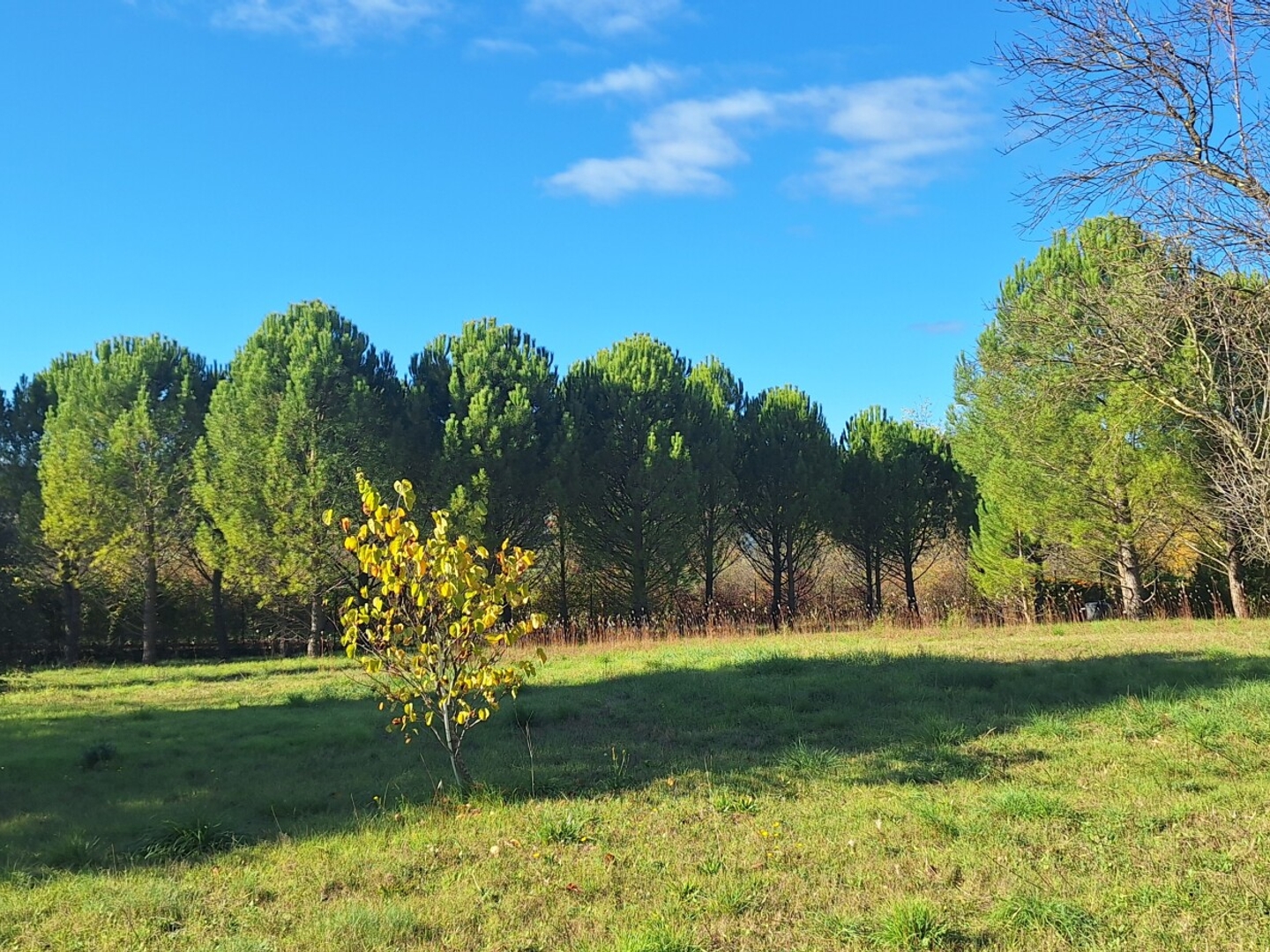 Terrain à vendre - 1101m2 - Alès (30100)