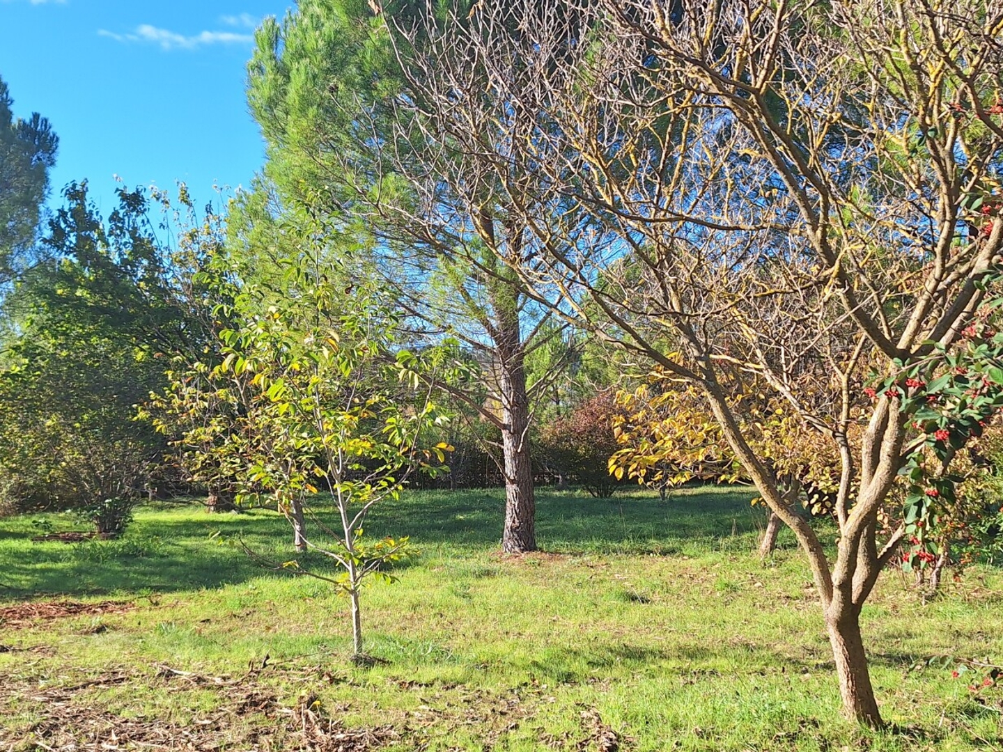 Terrain à vendre - 1101m2 - Alès (30100)