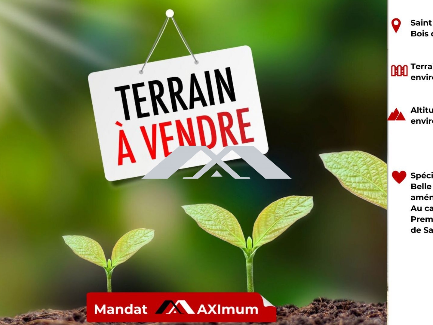 TERRAIN 4500 M² BOIS DE NEFLES SAINT PAUL