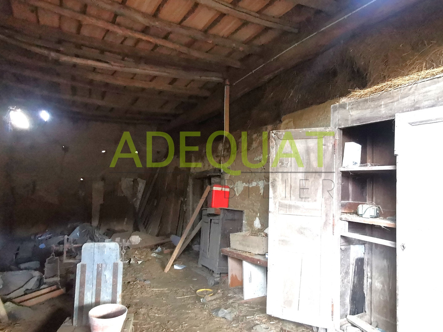 Maison à vendre - 4 pièces - 110m2 - Saint-Chef (38890)