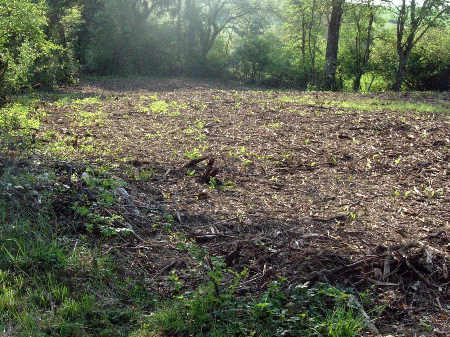 Terrain à vendre - 1402m2 - Foissy-Lès-Vézelay (89450)