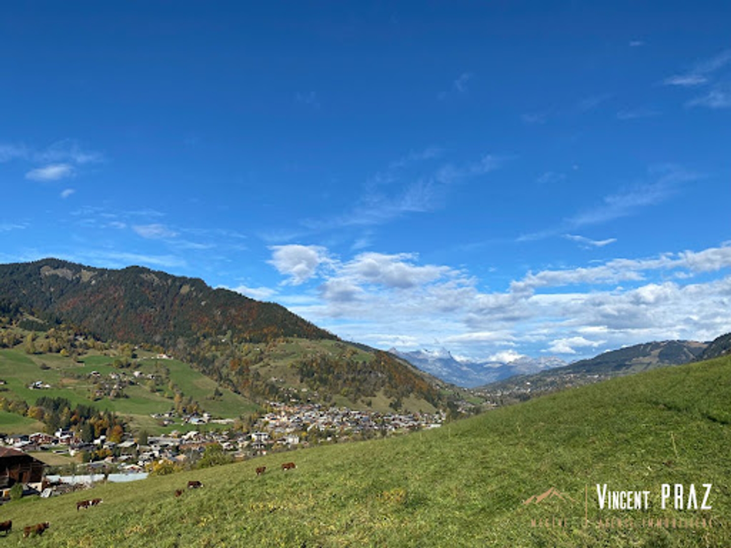 Maison à vendre - 8 pièces - 225m2 - Praz-Sur-Arly (74120)